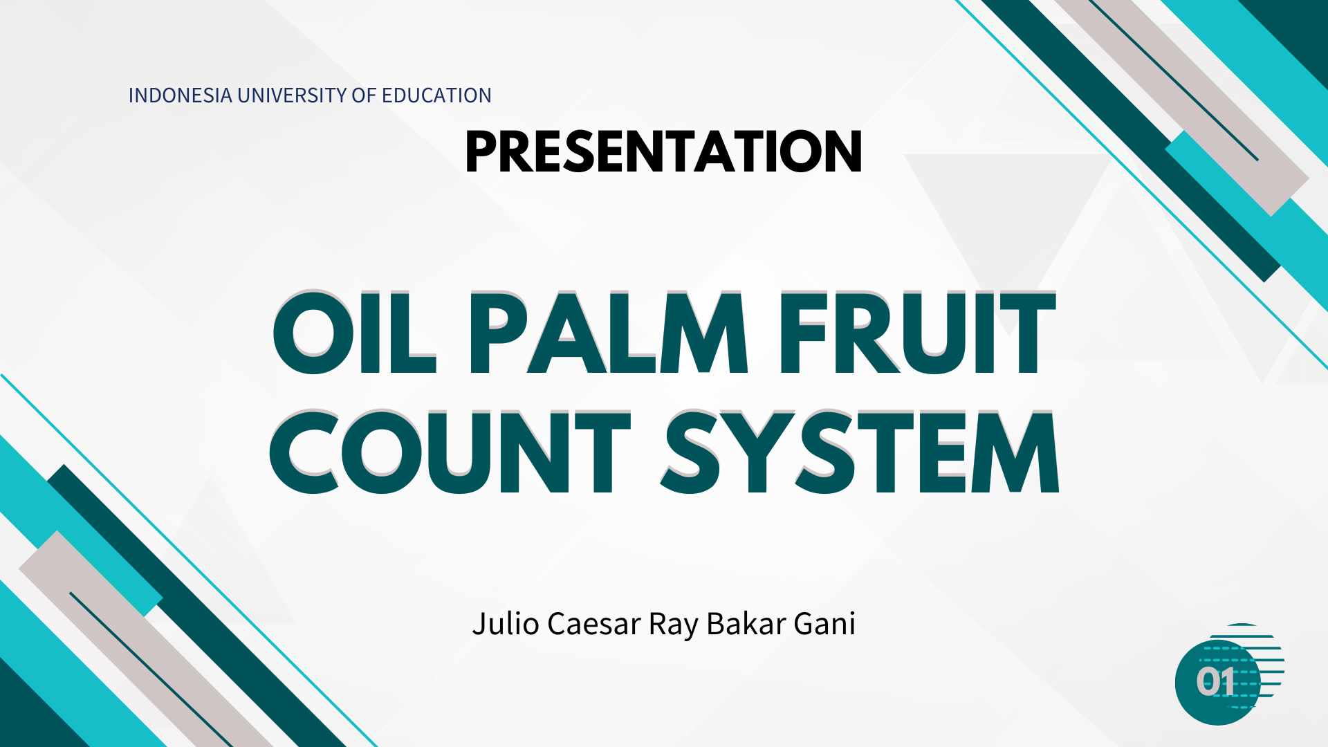 Oil Palm Fruit Count System